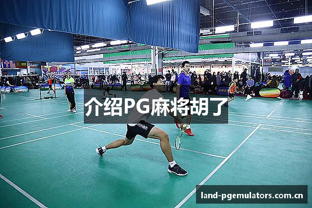 介绍PG麻将胡了